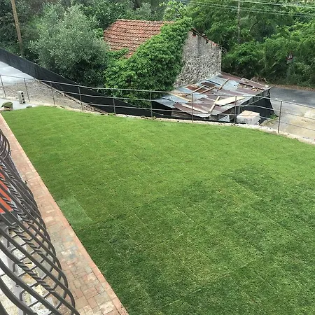 La Casa Negli Ulivi Ferienhaus *